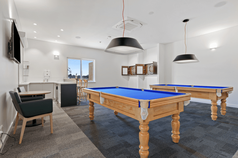 Darts/billiards room