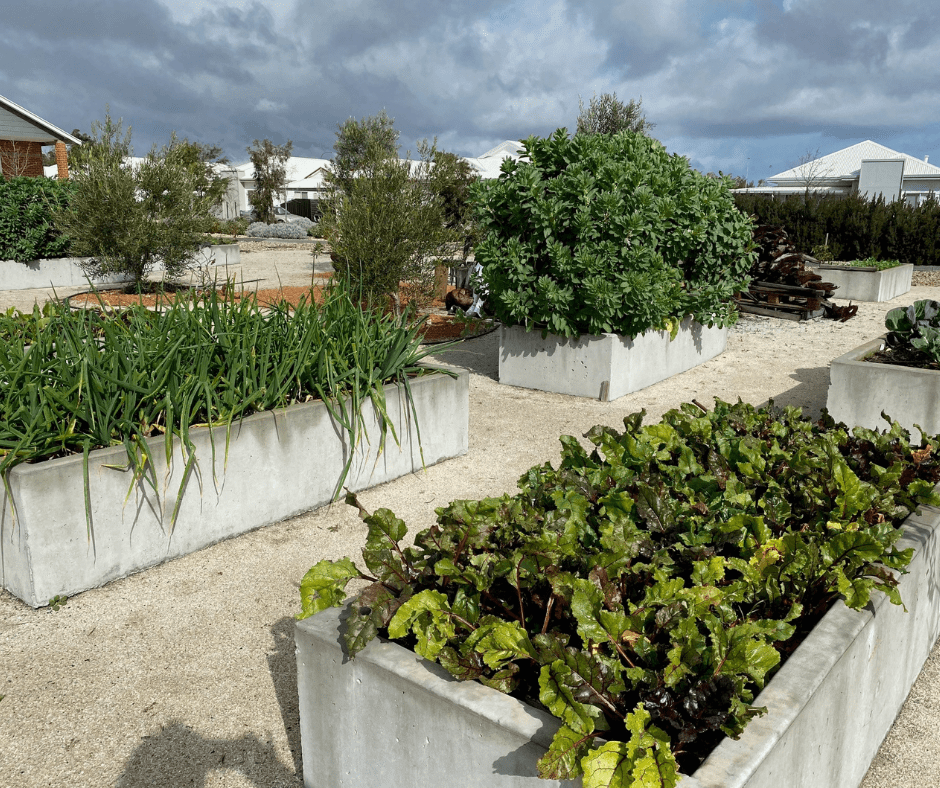 Edenlife Australind community garden